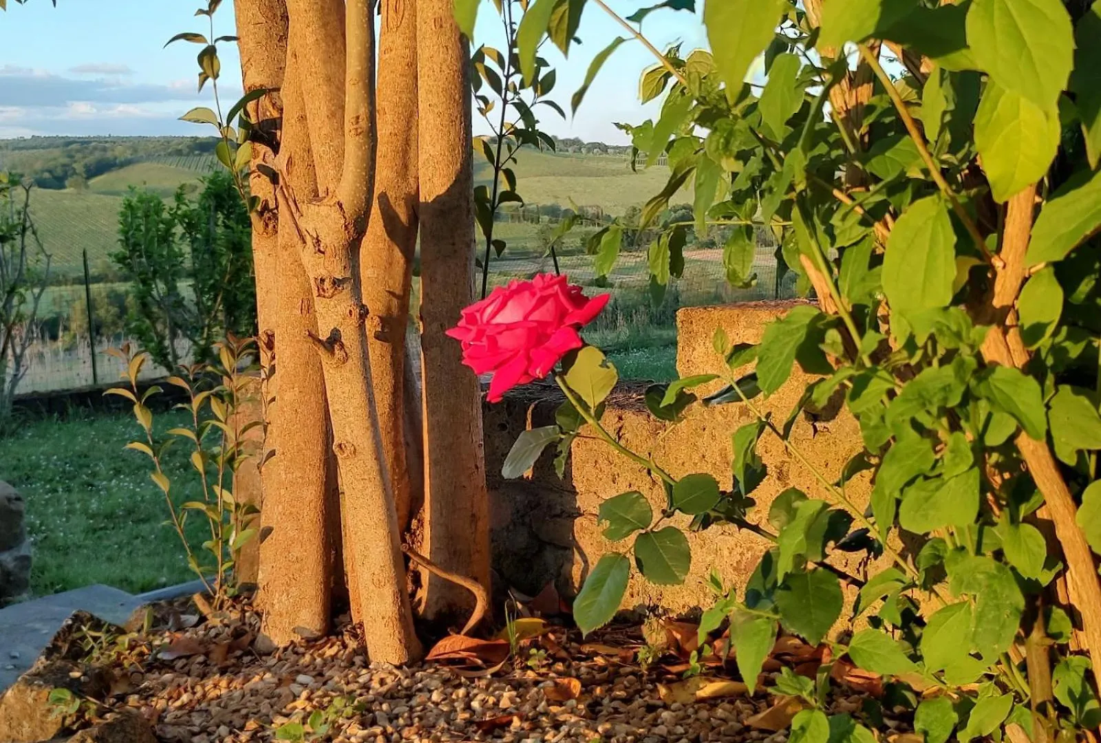 Il Giardino Del Chianti Apartment Siena