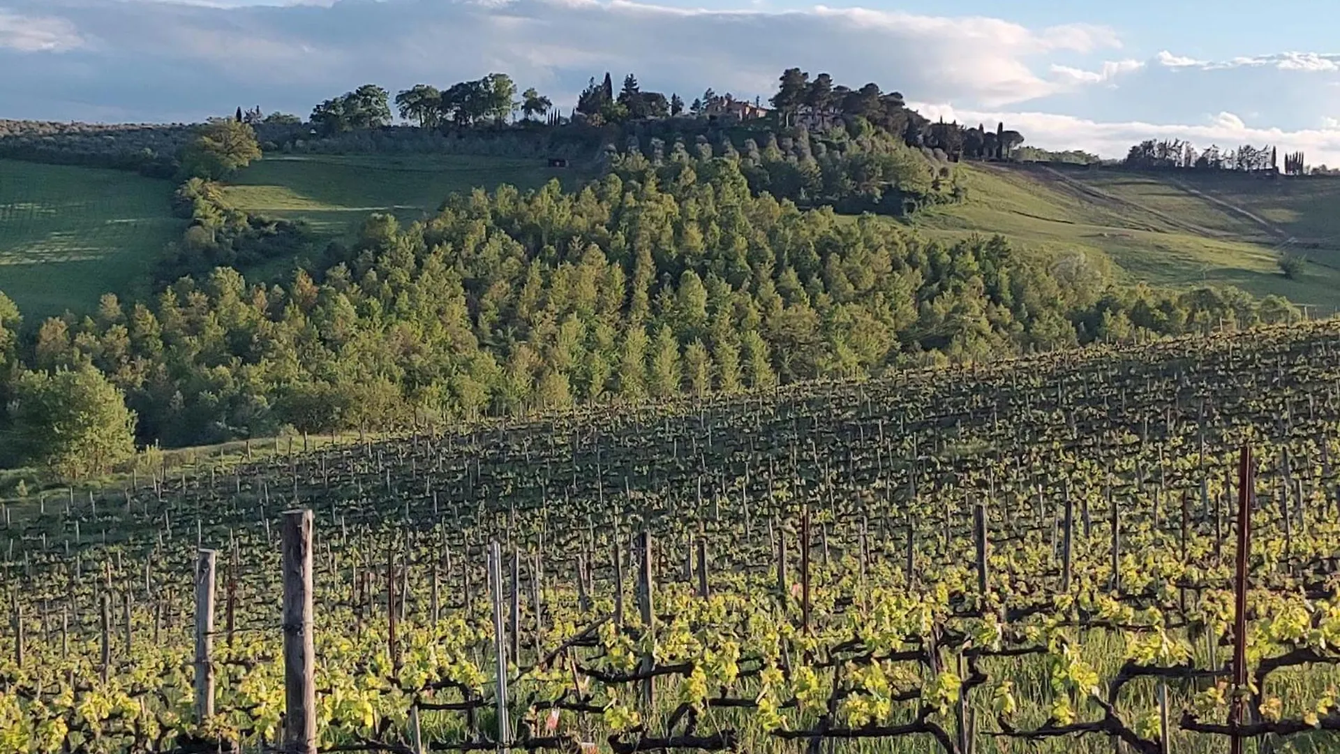 Il Giardino Del Chianti Apartment Siena